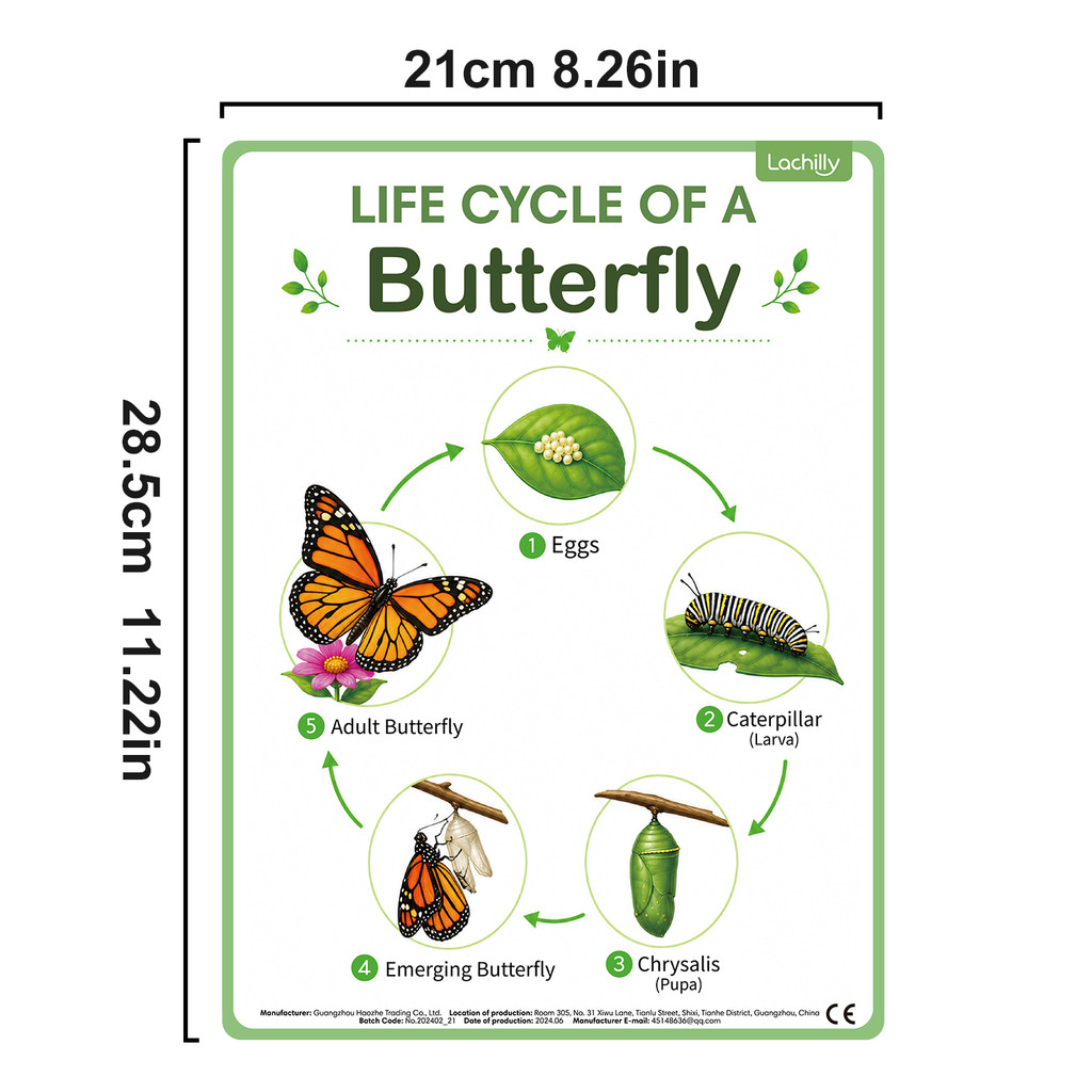 8Pcs Nature Life Cycle Educati - Science Nature 评论和价格