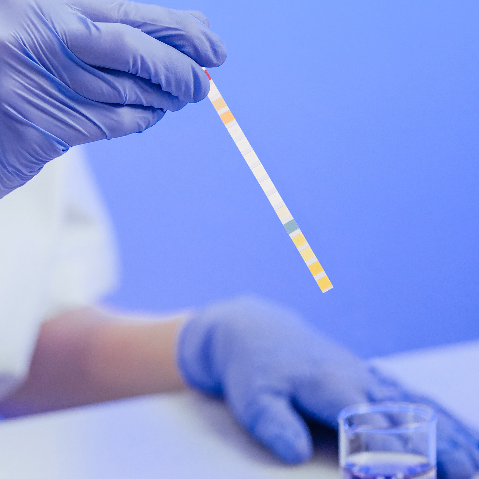 100Pcs Water Testing Strips fo - Water Testing Kit 评论和价格
